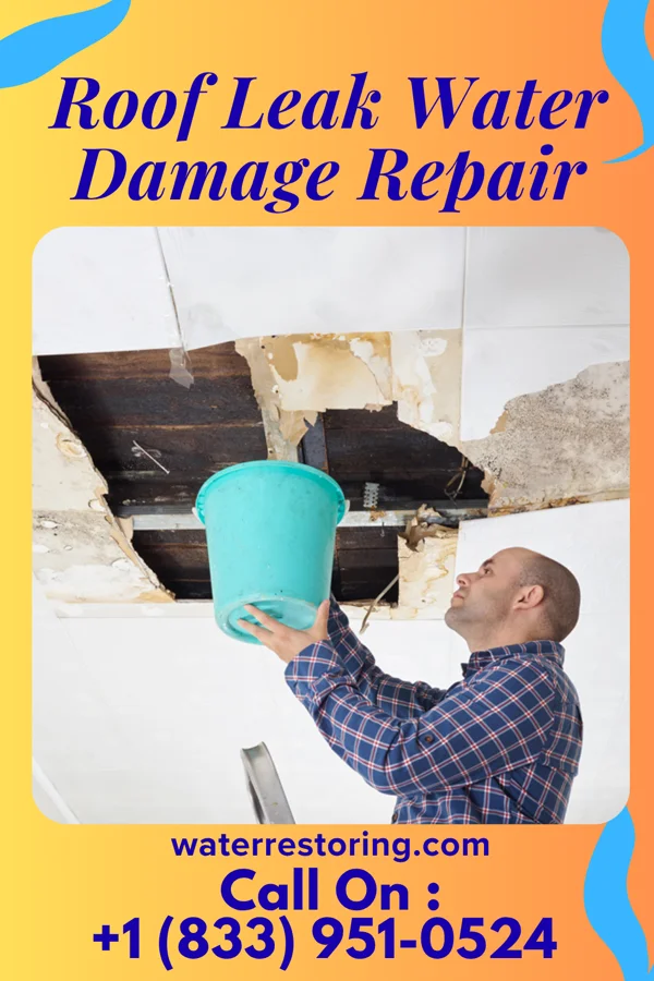 Roof Leak Water Damage Repair in Urbank, MN